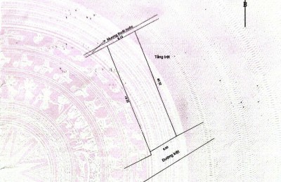 Cần bán Dãy trọ 7 phòng Kiệt ô tô vào tận nơi Nguyễn Chánh -DT 136m2